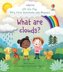 Very First Questions and Answers What are clouds?-9781474982146