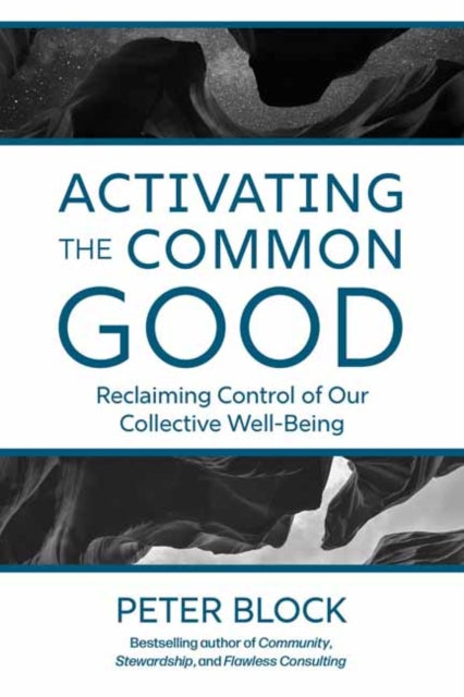 Activating the Common Good : Reclaiming Control of Our Collective Well-Being-9781523005963