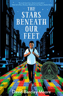 The Stars Beneath Our Feet-9781524701246