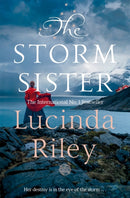 The Storm Sister : Ally's Story-9781529003468