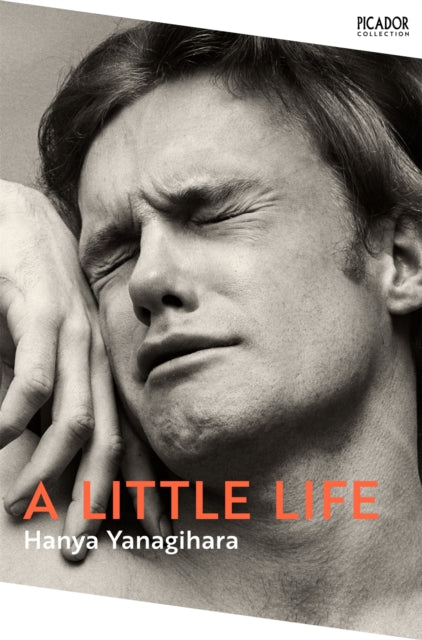 A Little Life : The Million-Copy Bestseller-9781529077216