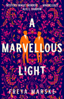 A Marvellous Light-9781529080889