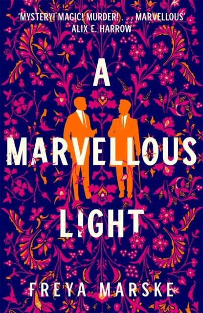 A Marvellous Light-9781529080889