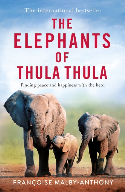 The Elephants of Thula Thula : Finding peace and happiness with the herd-9781529087673