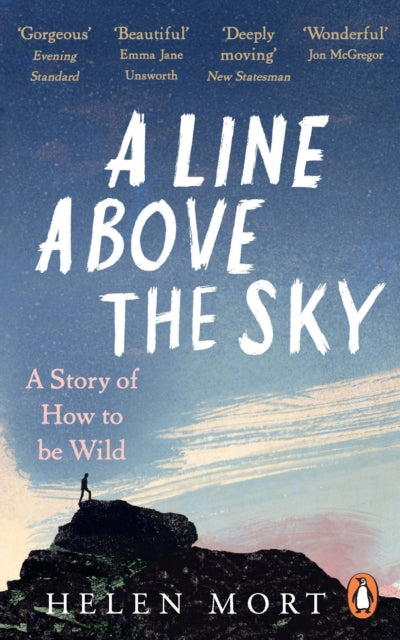 A Line Above the Sky : On Mountains and Motherhood-9781529107791