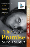 The Promise-9781529113877