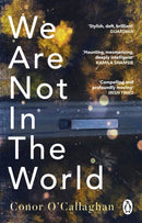 We Are Not in the World : `compelling and profoundly moving' Irish Times-9781529176360