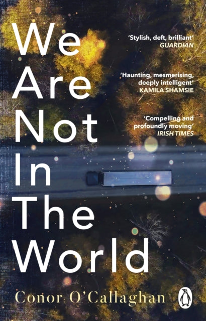 We Are Not in the World : 'compelling and profoundly moving' Irish Times-9781529176360