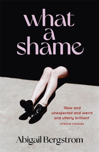 What a Shame : 'Intelligent, moving and darkly comic' The Sunday Times-9781529367072