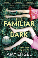 The Familiar Dark : The must-read, utterly gripping thriller you won't be able to put down-9781529368116