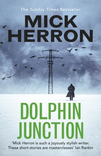 Dolphin Junction-9781529371284