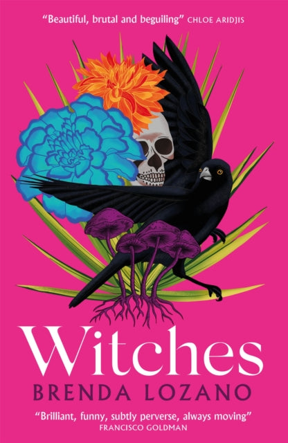 Witches-9781529412239