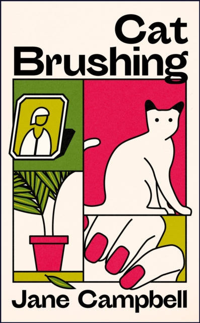 Cat Brushing : a dazzling short story collection about thirteen older women-9781529421682