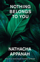 Nothing Belongs to You-9781529422832