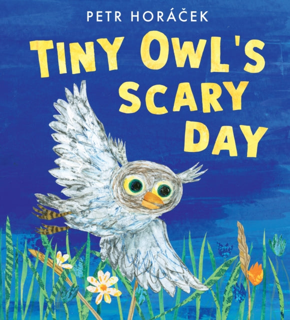 Tiny Owl's Scary Day-9781529509274