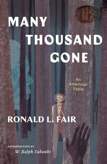 Many Thousand Gone: An American Fable-9781598537635