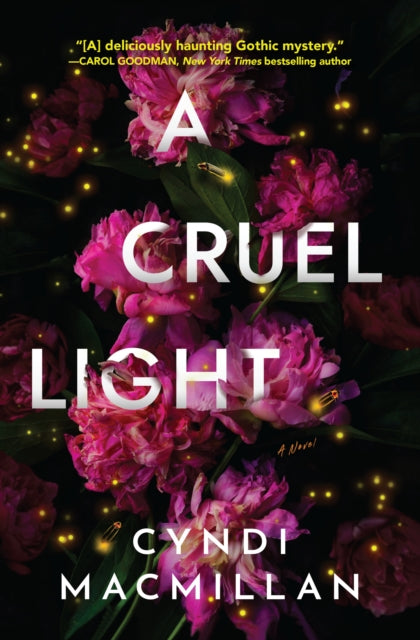 A Cruel Light : A Novel-9781639103256