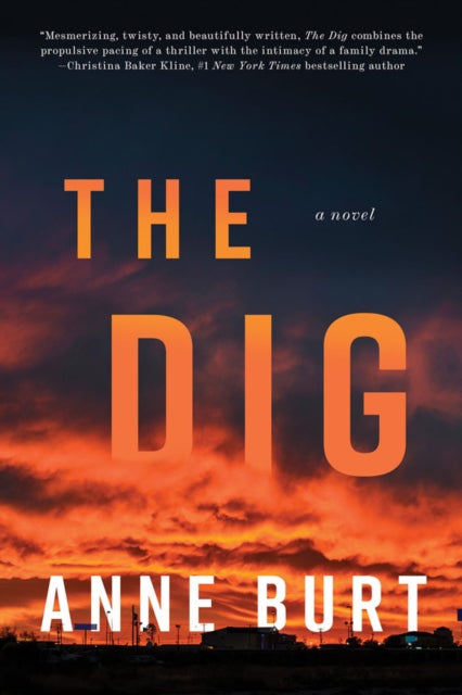 The Dig : A Novel-9781640096042