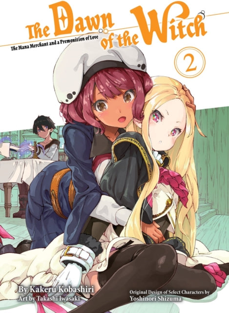 The Dawn Of The Witch 2 (light Novel)-9781647291860