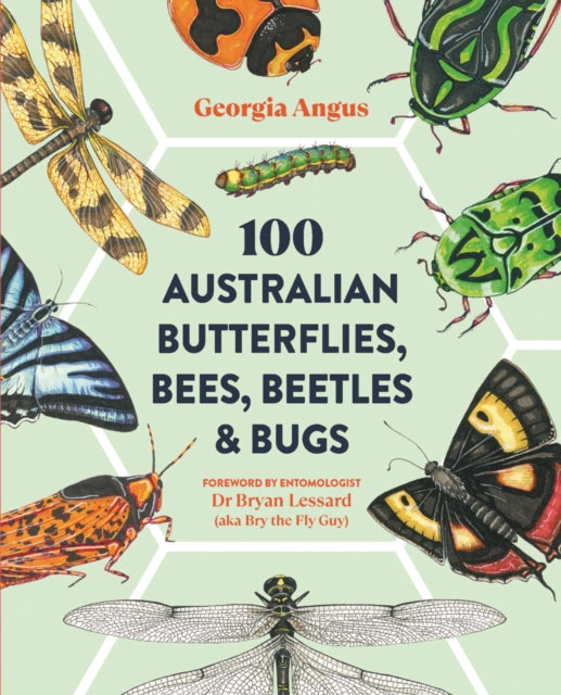 100 Australian Butterflies, Bees, Beetles & Bugs-9781741177978