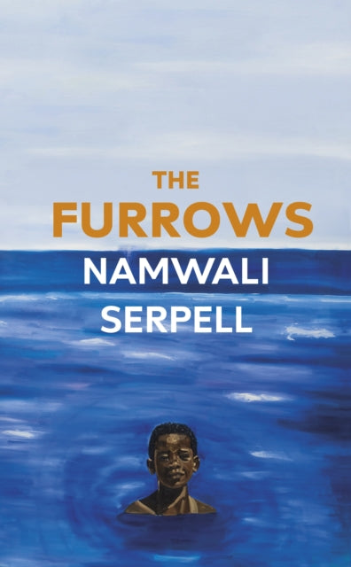 The Furrows : From the Prize-winning author of The Old Drift-9781781090848