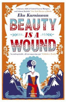 Beauty is a Wound-9781782272434