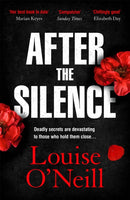 After the Silence : The An Post Irish Crime Novel of the Year-9781784298920