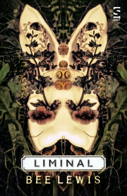 Liminal-9781784631383