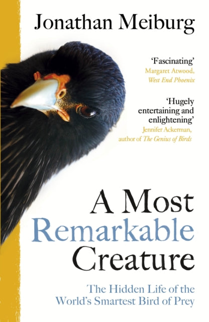 A Most Remarkable Creature : The Hidden Life of the World's Smartest Bird of Prey-9781784701550
