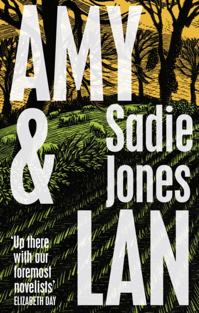 Amy and Lan : The enchanting new novel from the Sunday Times bestselling author of The Outcast-9781784744816