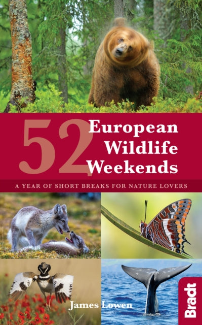 52 European Wildlife Weekends : A year of short breaks for nature lovers-9781784770839
