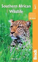 Southern African Wildlife-9781784779184