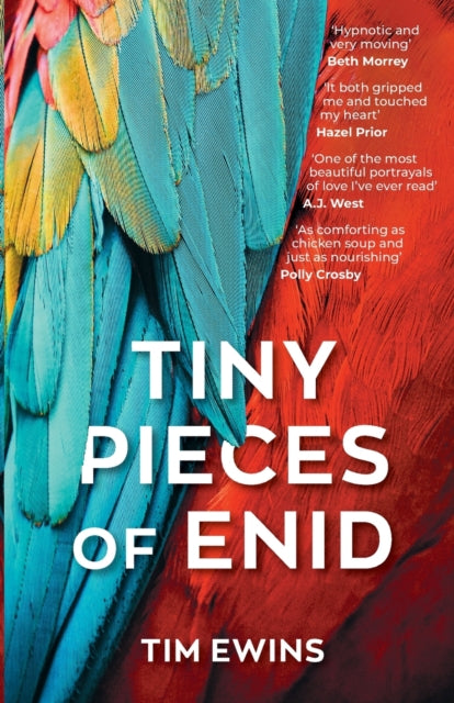 Tiny Pieces of Enid-9781785633102