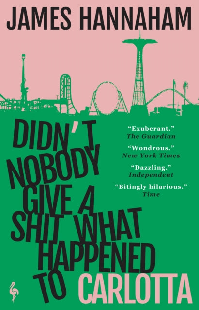 Didn't Nobody Give a Shit What Happened to Carlotta : A novel-9781787704930