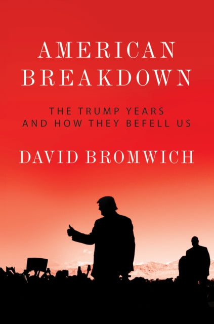 American Breakdown : The Trump Years and How They Befell Us-9781788737265