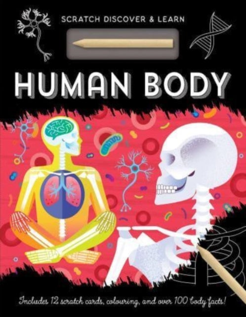 Human Body-9781801052511