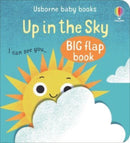 Up In The Sky-9781803704678