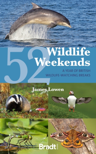 52 Wildlife Weekends : A Year of British Wildlife-Watching Breaks-9781804691311