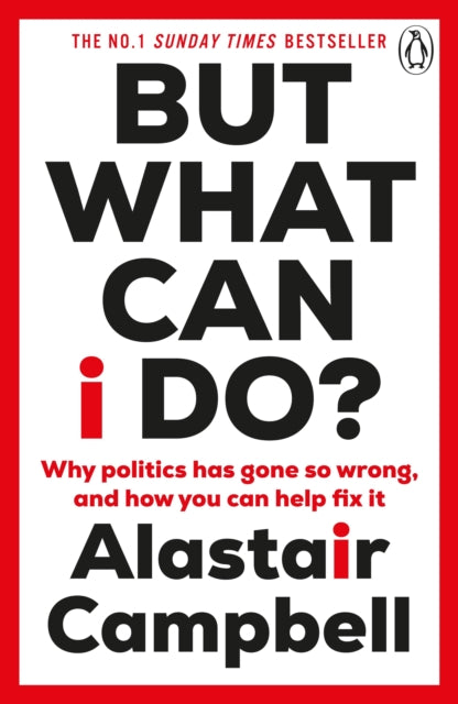 But What Can I Do? : Why Politics Has Gone So Wrong, and How You Can Help Fix It-9781804943137