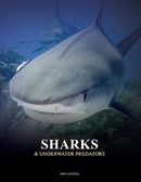 Sharks and Underwater Predators-9781838863449