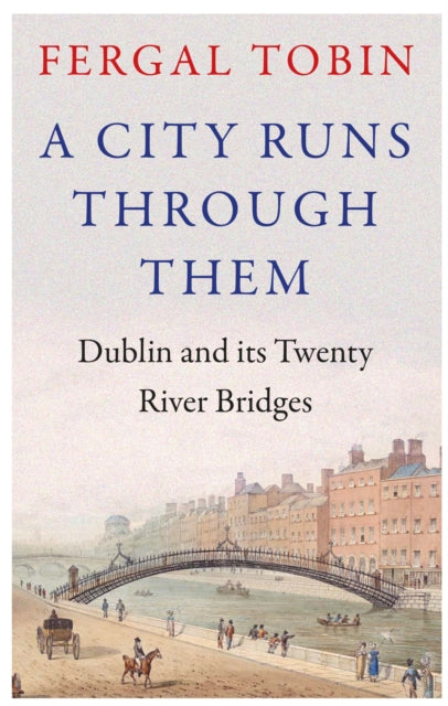 A City Runs Through Them : Dublin and its Twenty River Bridges-9781838959357