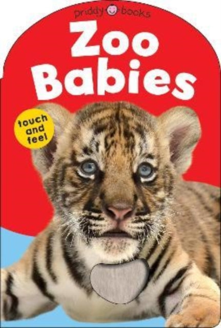 Zoo Babies-9781838992958