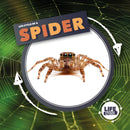 Life Cycle Of A Spider-9781839274763