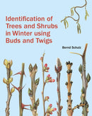 Identification of Trees and Shrubs in Winter Using Buds and Twigs-9781842466506