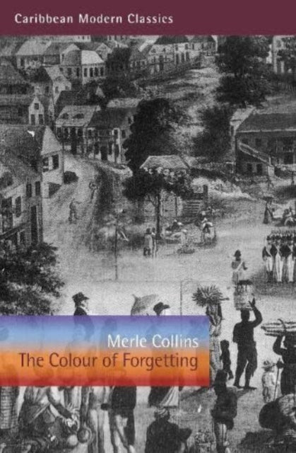 The Colour of Forgetting-9781845235512