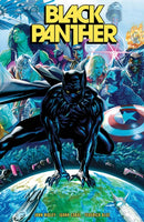 Black Panther Vol. 1: The Long Shadow Part 1-9781846533525