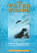 The Water Wizard : The Extraordinary Properties of Natural Water-9781858600482