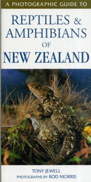 Photographic Guide To Reptiles & Amphibians Of New Zealand-9781869662035