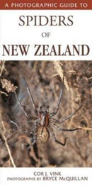 Photographic Guide To Spiders Of New Zealand-9781869664039
