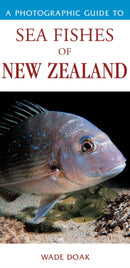 Photographic Guide To Sea Fishes Of New Zealand-9781877246951